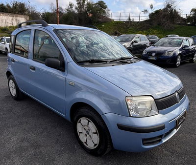 Fiat Panda 1.1 Active usata