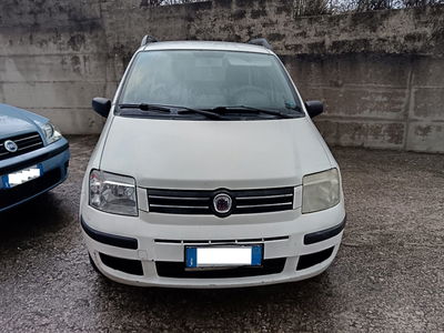 Fiat Panda 1.3 MJT 16V Dynamic usata