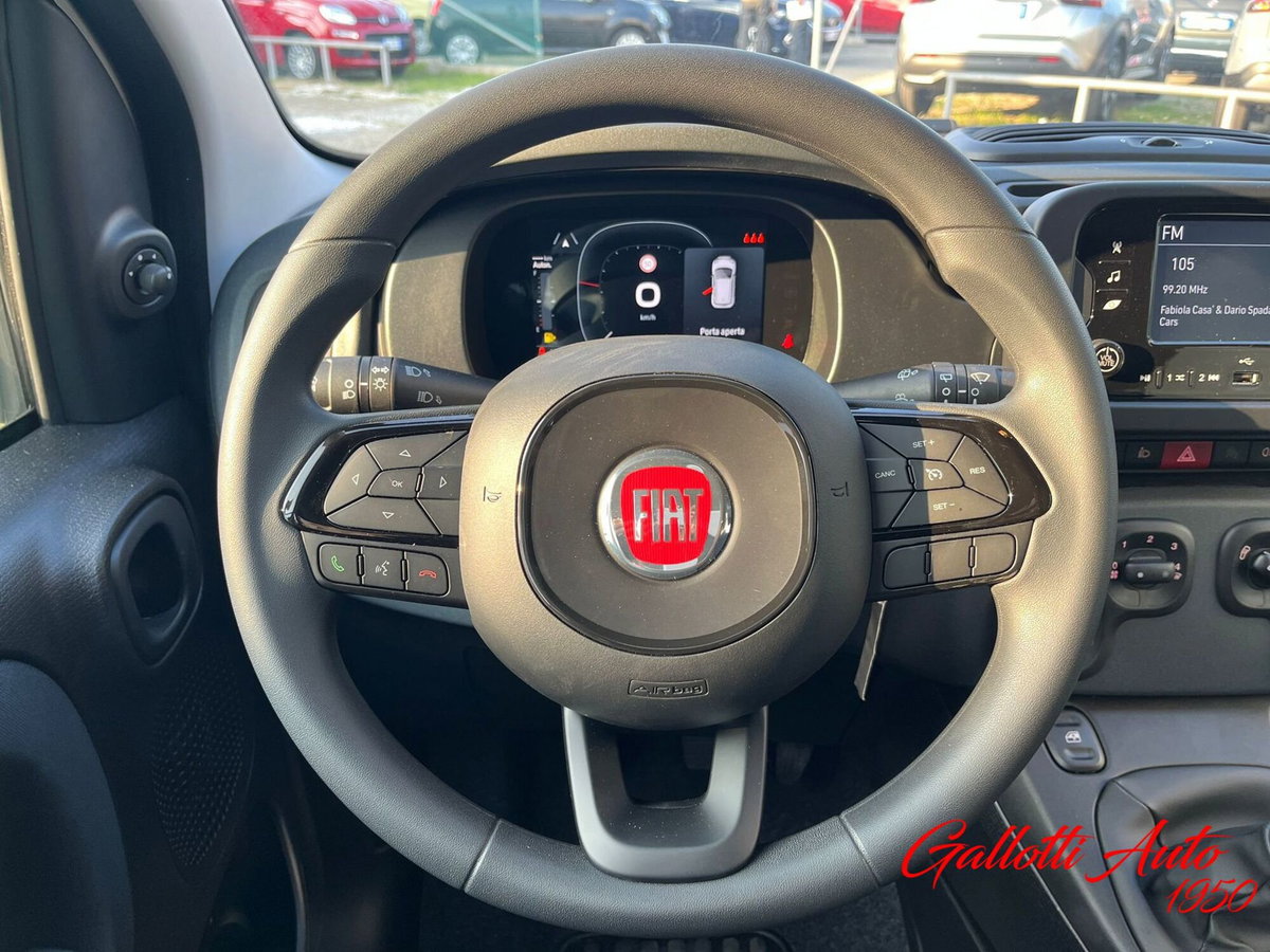Fiat Panda Cross Cross 1.0 FireFly S&S Hybrid (10)