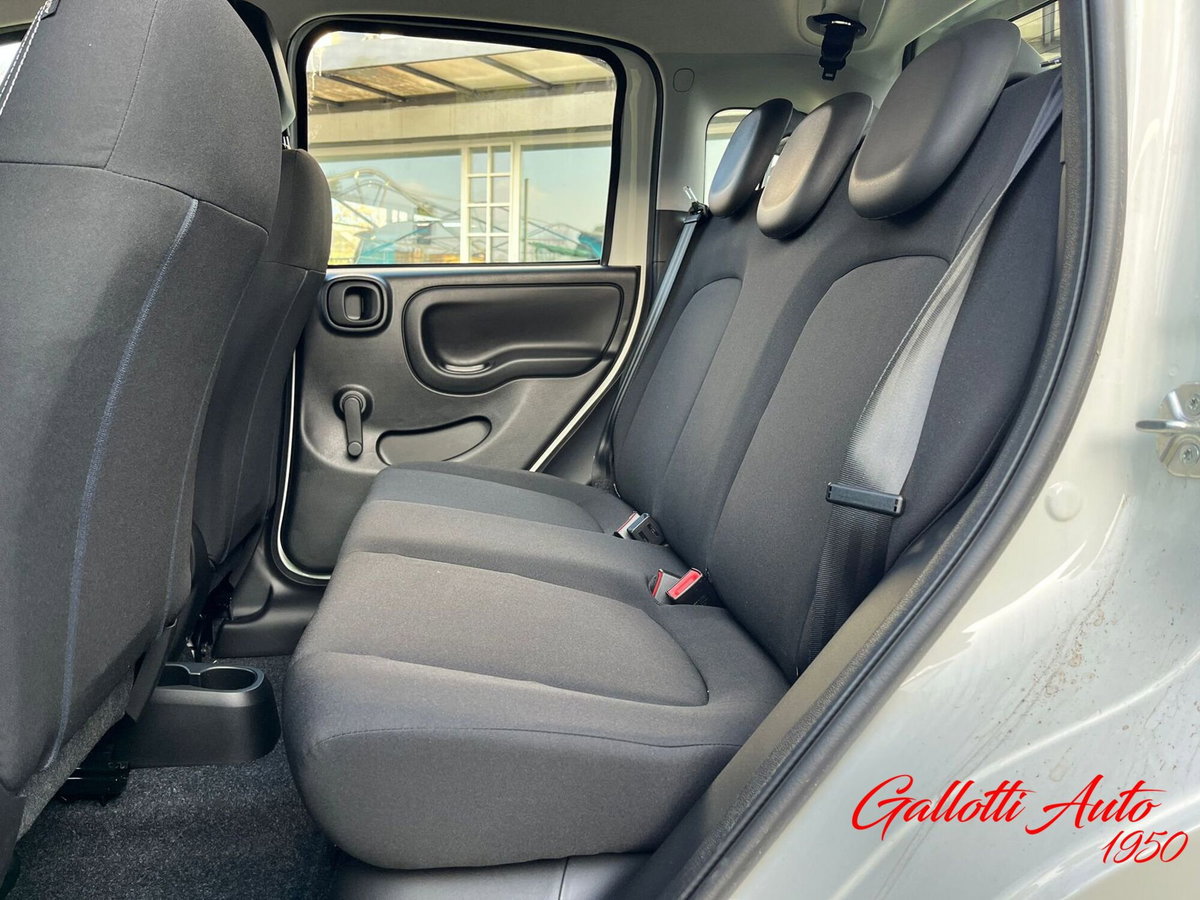 Fiat Panda Cross Cross 1.0 FireFly S&S Hybrid (14)
