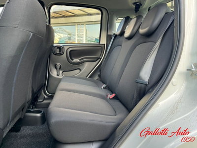 Fiat Panda Cross Cross 1.0 FireFly S&S Hybrid (14)
