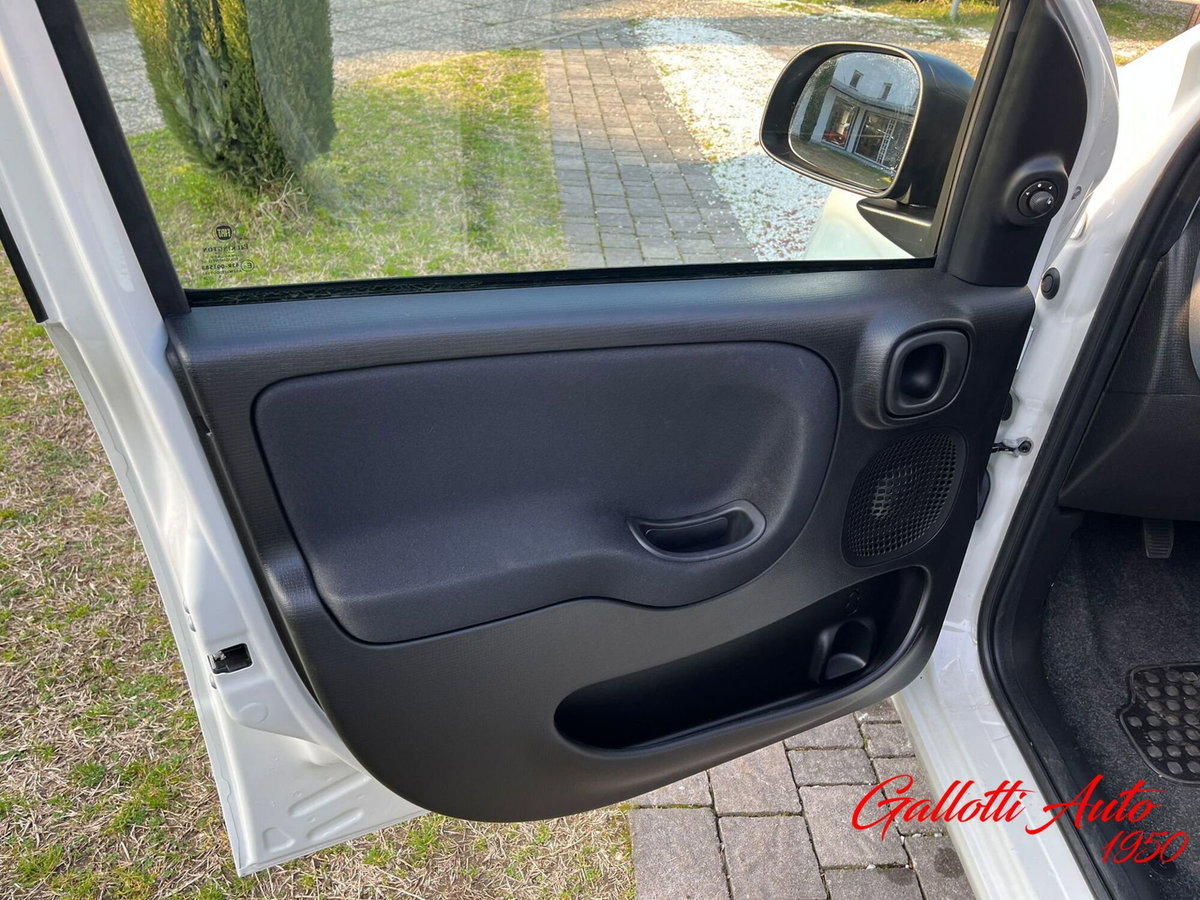 Fiat Panda Cross Cross 1.0 FireFly S&S Hybrid (16)