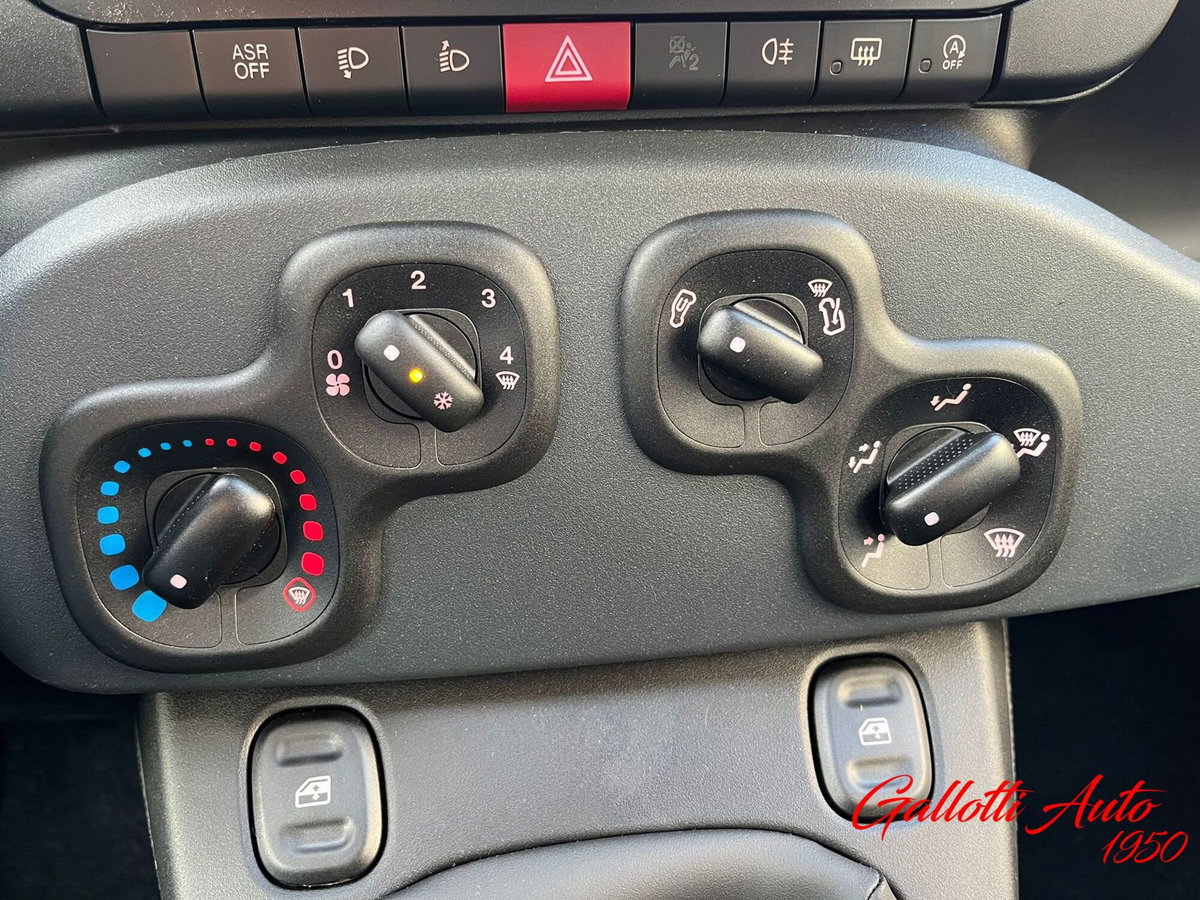 Fiat Panda Cross Cross 1.0 FireFly S&S Hybrid (18)