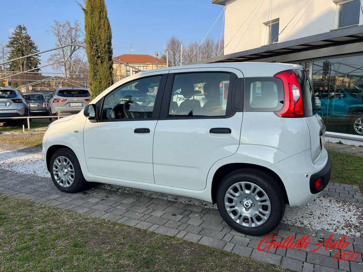Fiat Panda Cross Cross 1.0 FireFly S&S Hybrid (2)