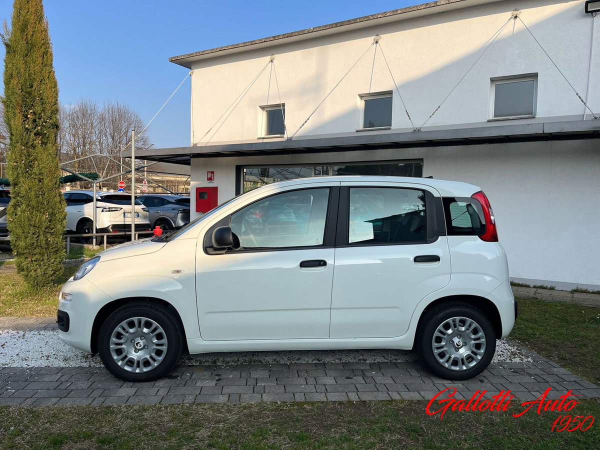 Fiat Panda Cross Cross 1.0 FireFly S&S Hybrid (3)