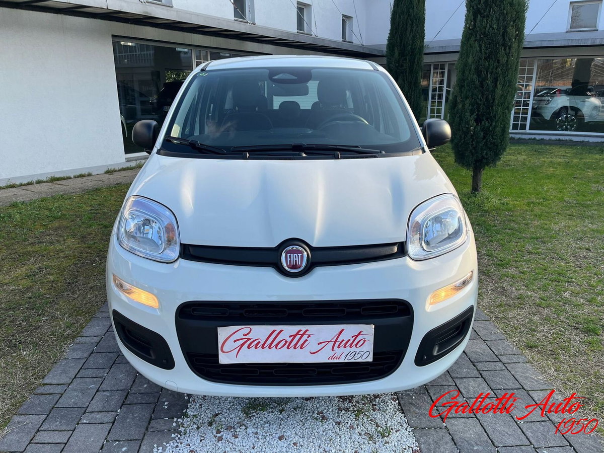 Fiat Panda Cross Cross 1.0 FireFly S&S Hybrid (4)