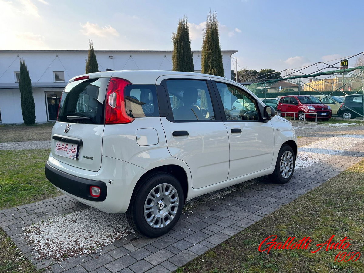 Fiat Panda Cross Cross 1.0 FireFly S&S Hybrid (5)