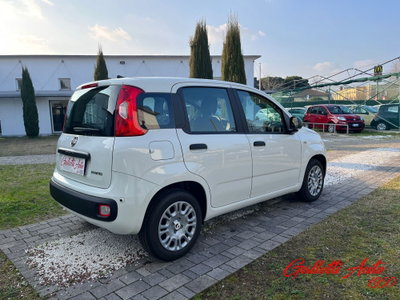 Fiat Panda Cross Cross 1.0 FireFly S&S Hybrid (5)