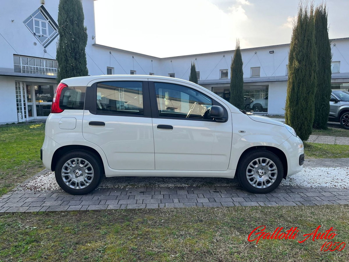 Fiat Panda Cross Cross 1.0 FireFly S&S Hybrid (6)