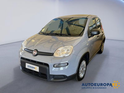 Fiat Panda 1.0 FireFly S&S Hybrid City Cross usata