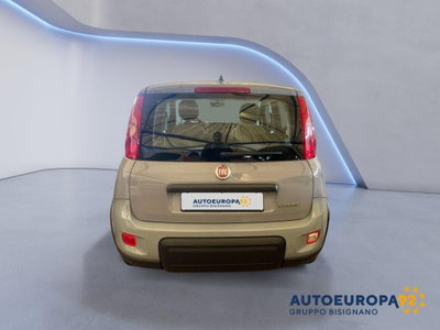 Fiat Panda 1.0 FireFly S&S Hybrid City Cross (3)
