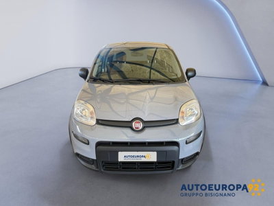 Fiat Panda 1.0 FireFly S&S Hybrid City Cross (5)