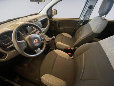 Fiat Panda 1.0 FireFly S&S Hybrid City Cross (6)