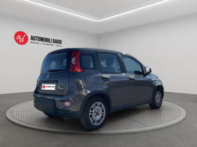 Fiat Panda 1.0 firefly hybrid s&s 70cv 5p.ti (4)