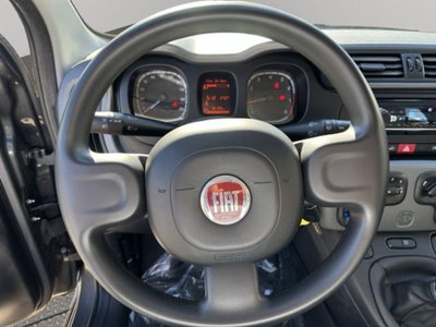 Fiat Panda 1.0 firefly hybrid s&s 70cv 5p.ti (6)