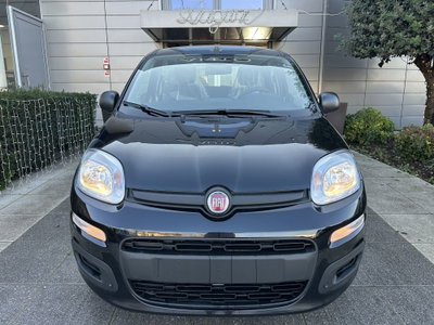 Fiat Panda Cross Cross 1.0 FireFly S&S Hybrid (2)