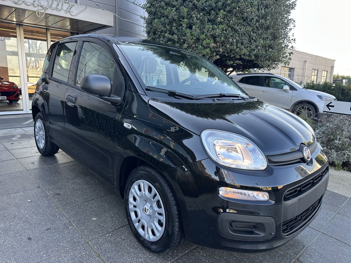 Fiat Panda Cross Cross 1.0 FireFly S&S Hybrid (3)
