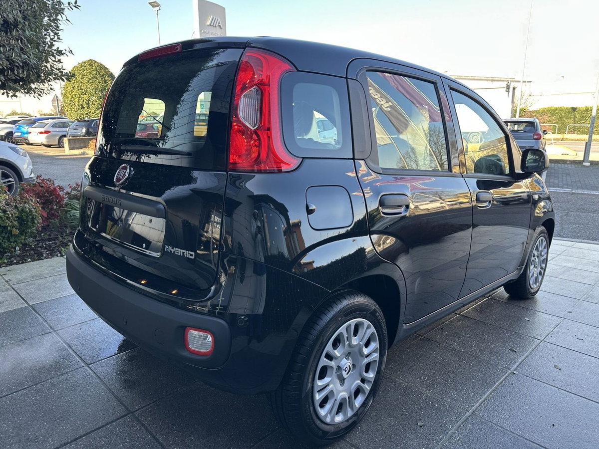 Fiat Panda Cross Cross 1.0 FireFly S&S Hybrid (4)