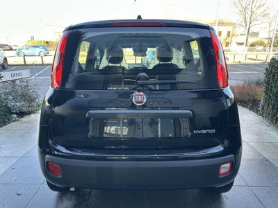 Fiat Panda Cross Cross 1.0 FireFly S&S Hybrid (5)