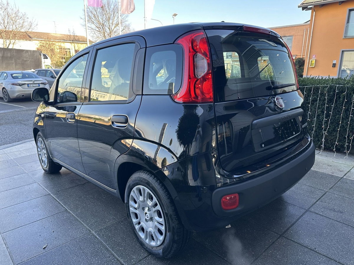 Fiat Panda Cross Cross 1.0 FireFly S&S Hybrid (6)
