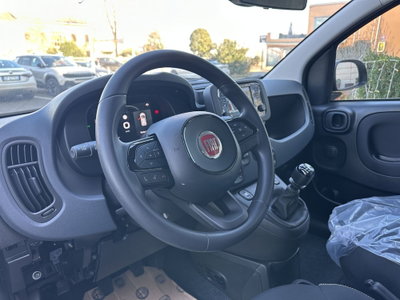 Fiat Panda Cross Cross 1.0 FireFly S&S Hybrid (8)