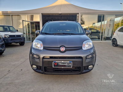 Fiat Panda Cross Cross 1.0 FireFly S&S Hybrid usata