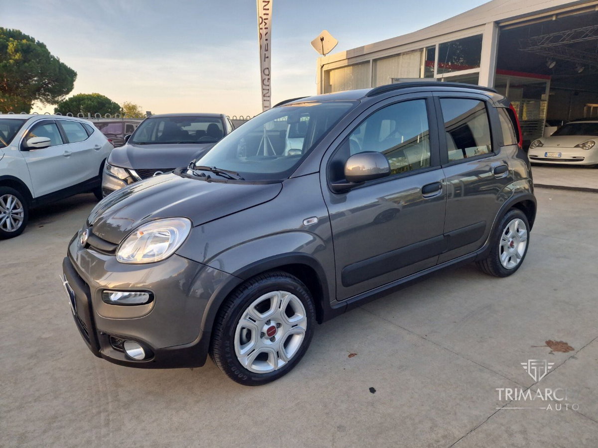 Fiat Panda Cross Cross 1.0 FireFly S&S Hybrid (2)