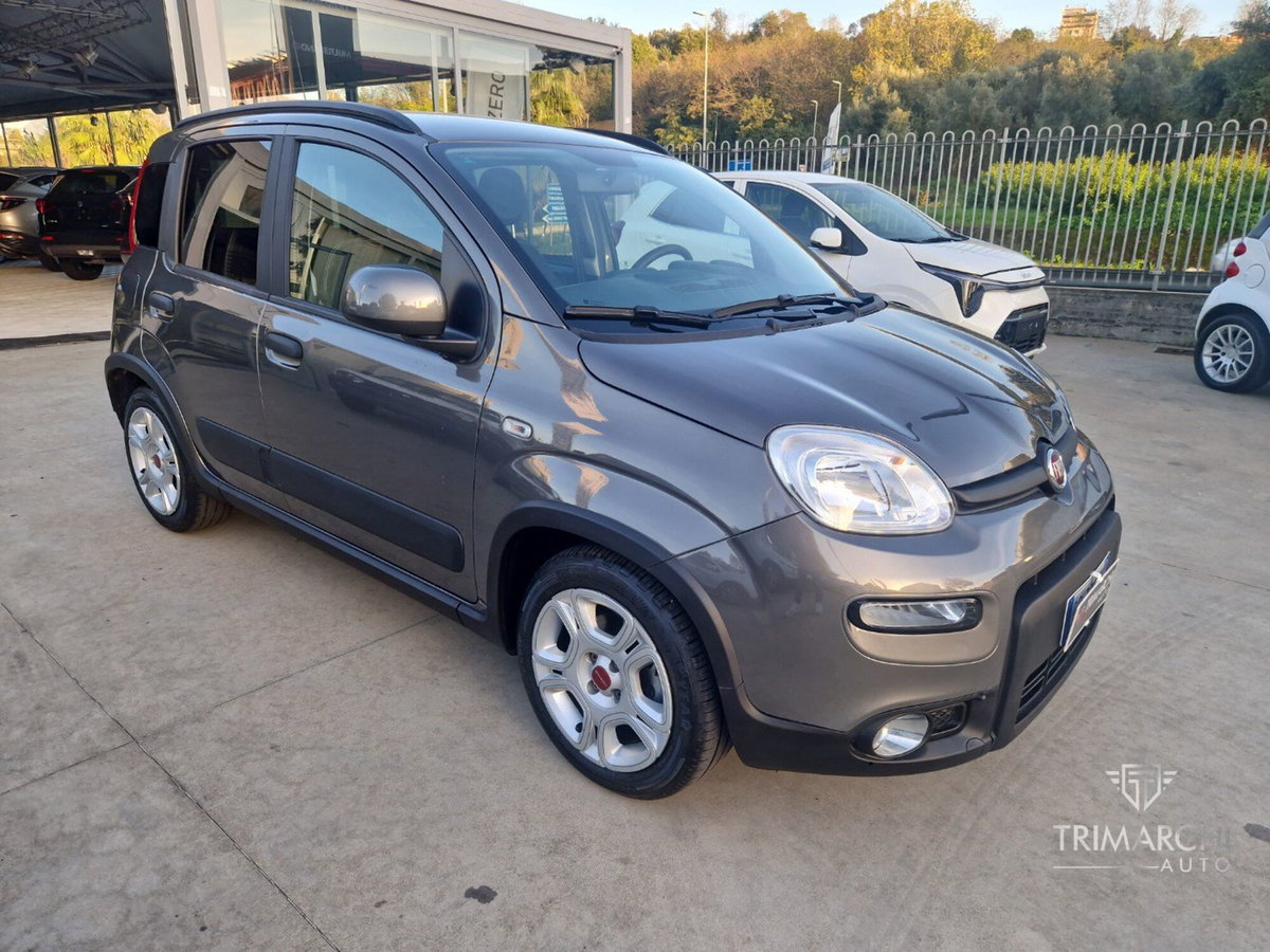 Fiat Panda Cross Cross 1.0 FireFly S&S Hybrid (3)