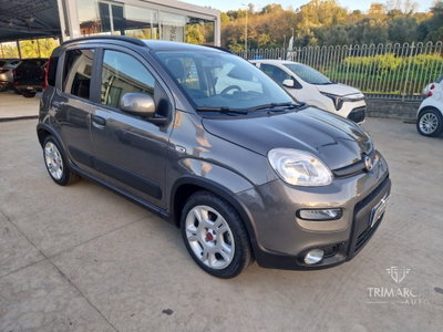 Fiat Panda Cross Cross 1.0 FireFly S&S Hybrid (3)