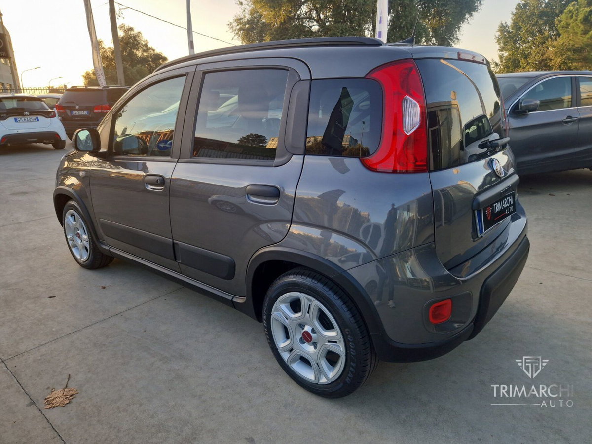 Fiat Panda Cross Cross 1.0 FireFly S&S Hybrid (4)