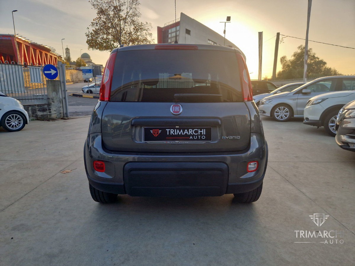 Fiat Panda Cross Cross 1.0 FireFly S&S Hybrid (6)