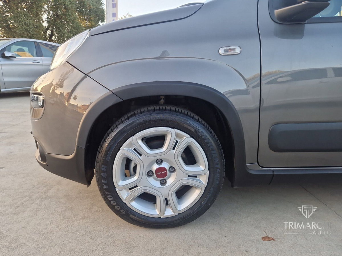 Fiat Panda Cross Cross 1.0 FireFly S&S Hybrid (7)