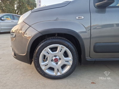 Fiat Panda Cross Cross 1.0 FireFly S&S Hybrid (7)