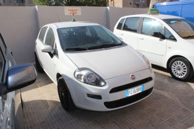 Fiat Punto 1.2 8V 5 porte Street usata