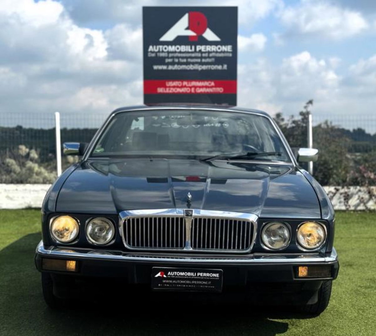 Jaguar XJ6 3.2 cat (2)