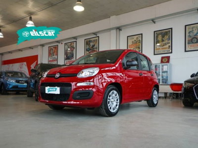 Fiat Panda 1.0 firefly hybrid Icon s&s 70cv (2)