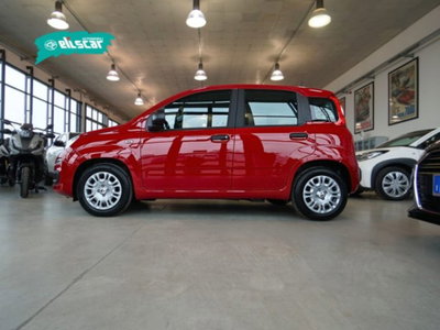 Fiat Panda 1.0 firefly hybrid Icon s&s 70cv (4)