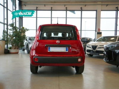 Fiat Panda 1.0 firefly hybrid Icon s&s 70cv (5)