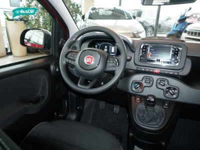 Fiat Panda 1.0 firefly hybrid Icon s&s 70cv (7)