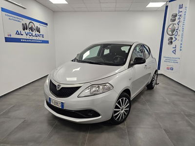 Lancia Ypsilon 1.2 69 CV 5 porte Platinum usata