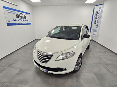 Lancia Ypsilon 1.2 69 CV 5 porte Platinum usata