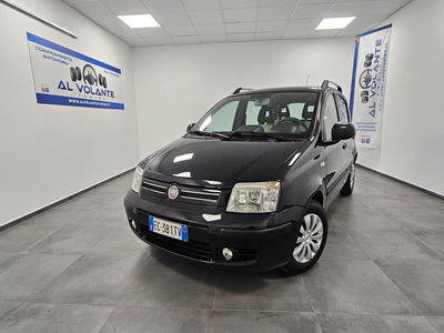 Fiat Panda 1.2 Dynamic usata
