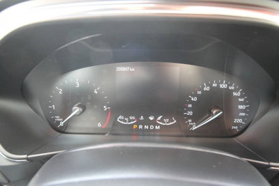 Ford Focus 1.5 EcoBlue 120 CV automatico 5p. Active Co-Pilot (9)