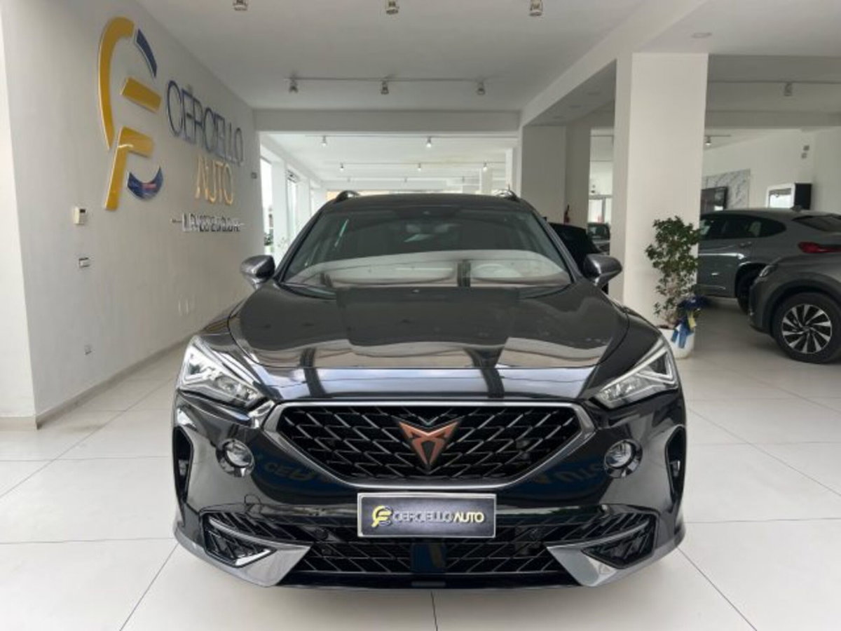 Cupra Formentor Formentor 2.0 tdi 4drive 150cv dsg