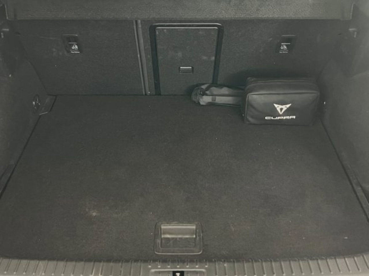 Cupra Formentor Formentor 2.0 tdi 4drive 150cv dsg (11)