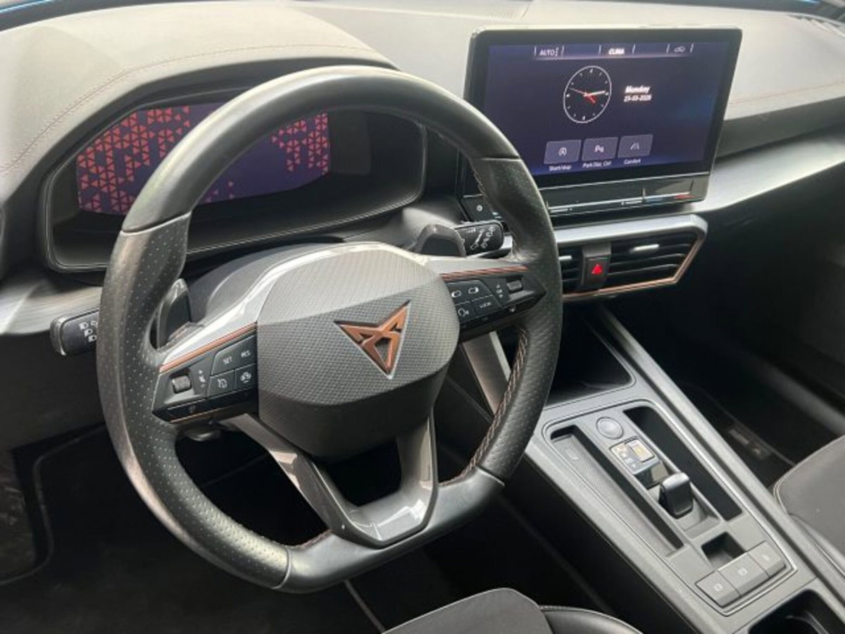 Cupra Formentor Formentor 2.0 tdi 4drive 150cv dsg (13)