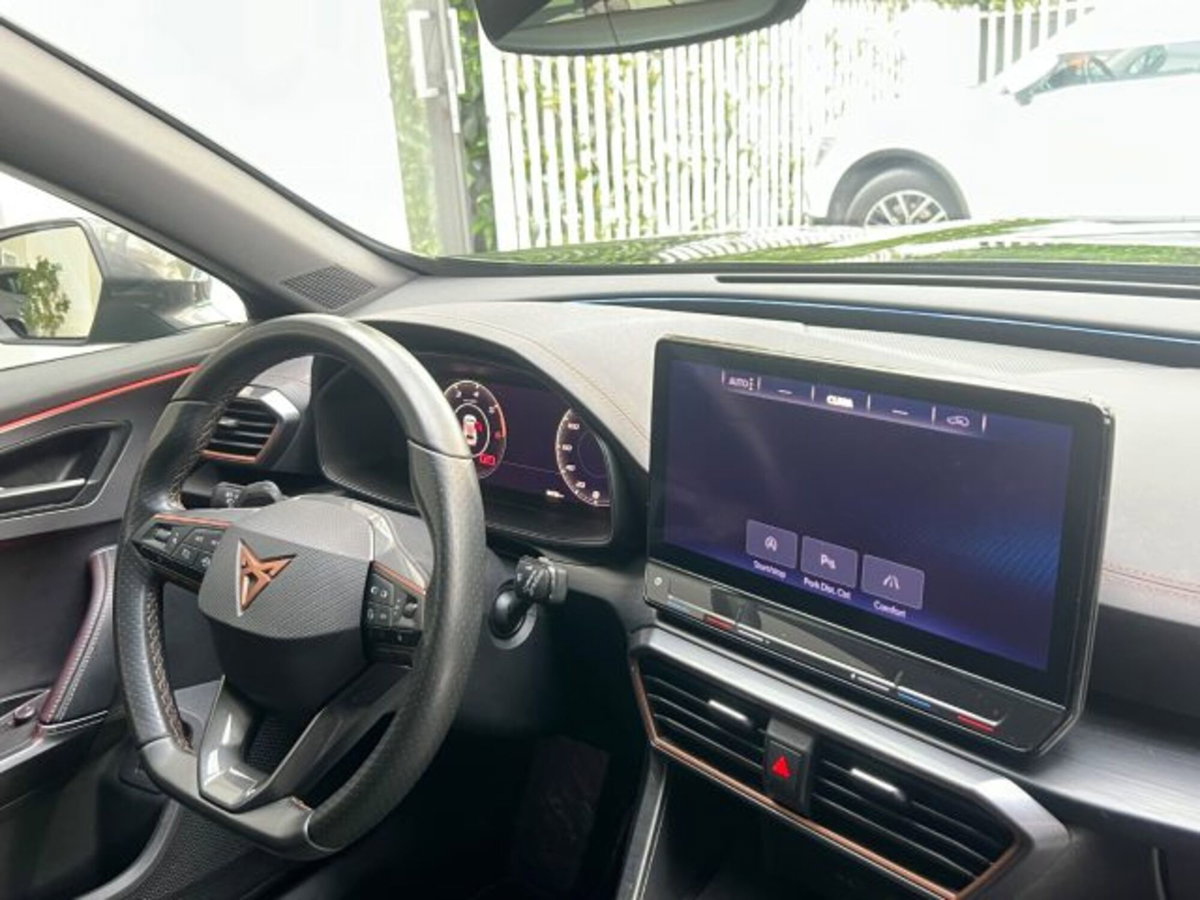 Cupra Formentor Formentor 2.0 tdi 4drive 150cv dsg (14)