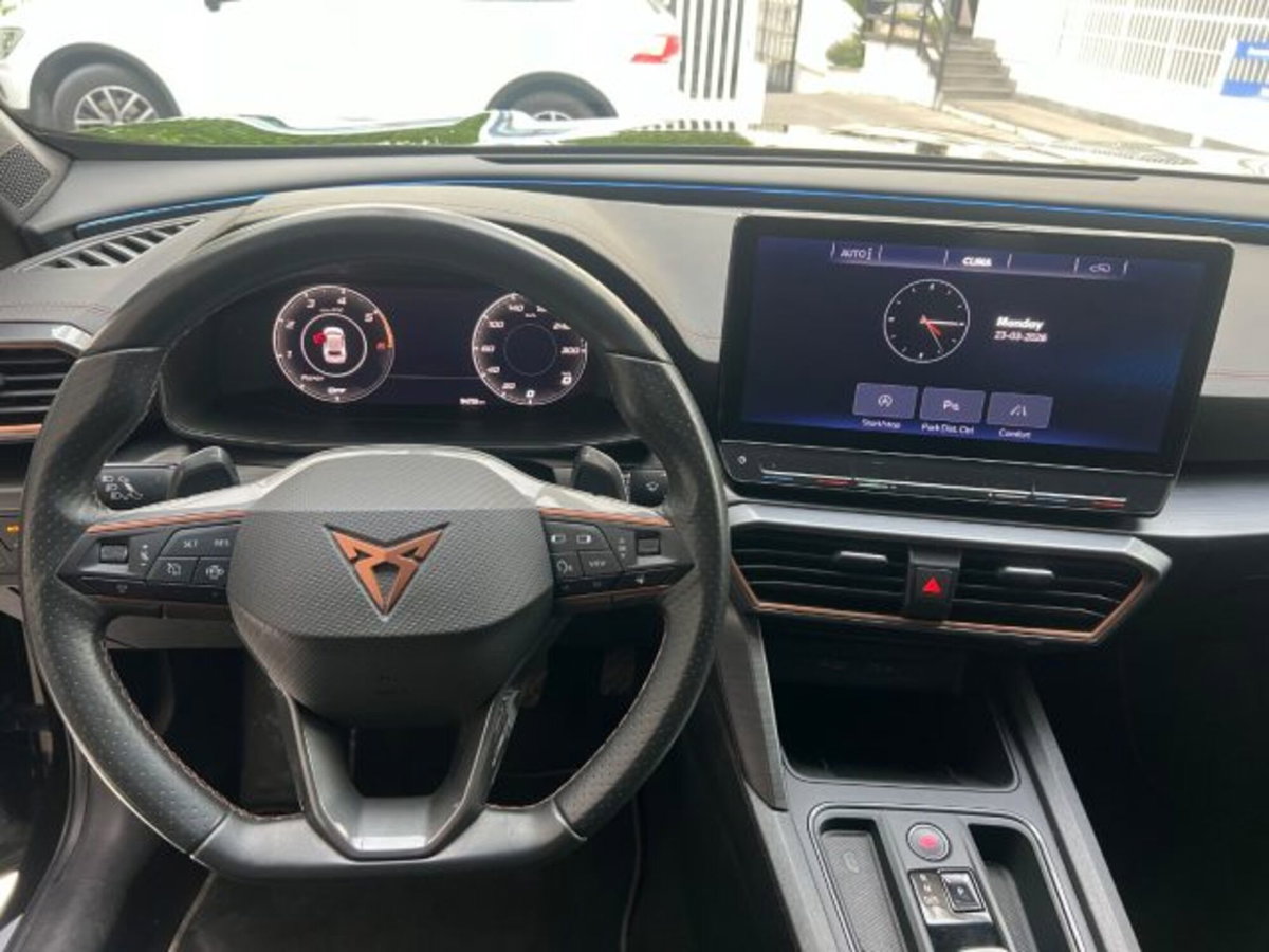 Cupra Formentor Formentor 2.0 tdi 4drive 150cv dsg (15)