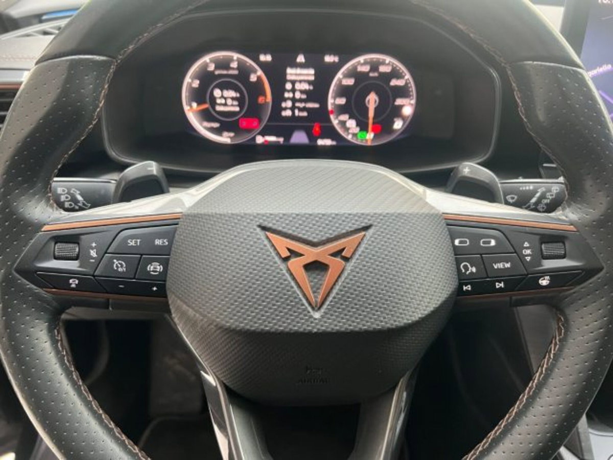 Cupra Formentor Formentor 2.0 tdi 4drive 150cv dsg (16)
