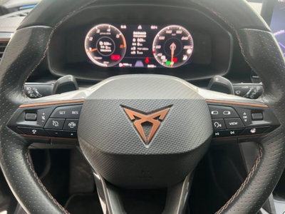Cupra Formentor Formentor 2.0 tdi 4drive 150cv dsg (16)